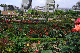 image0274