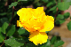 image0277
