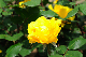 image0278