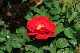 image0280