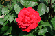 image0281