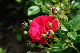 image0282