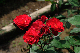 image0283