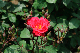 image0284