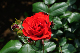 image0287