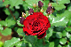 image0290