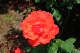 image0291