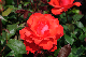 image0292