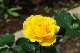 image0293