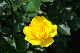 image0294