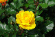 image0295