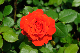 image0297