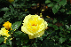 image0298
