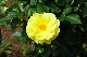 image0299