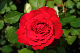 image0300