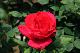 image0304