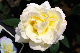 image0305