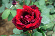 image0311