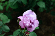 image0313