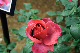 image0314