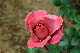 image0317