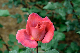 image0318
