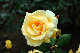 image0320