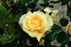 image0321