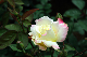 image0324