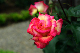 image0325