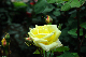 image0326