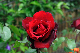image0327