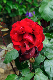 image0328