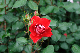 image0329