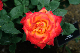 image0331