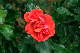 image0333