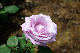 image0343