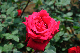 image0346