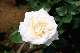 image0347