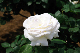 image0350
