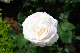 image0351