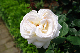 image0353