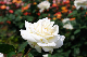 image0354