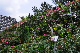 image0357
