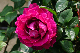 image0360