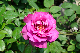 image0362