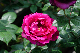 image0371