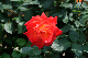 image0372