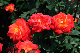 image0373