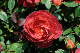image0376
